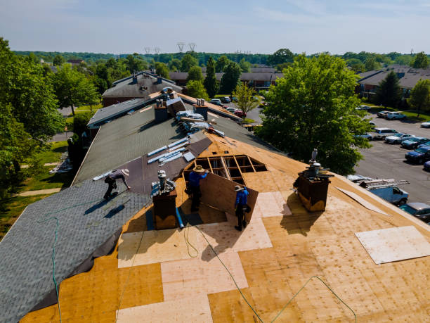 Trusted Roof Replacement service in Silver Lake, OR - Brentwood Metal Roofing
